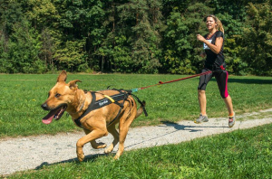 2015 - Beh pro PESOS - Martina2 - cr