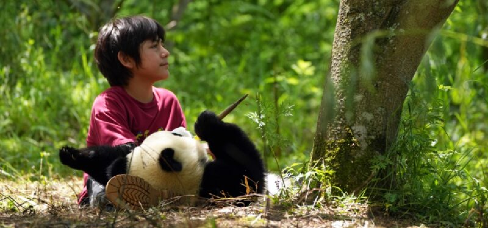 Panda a já - 1