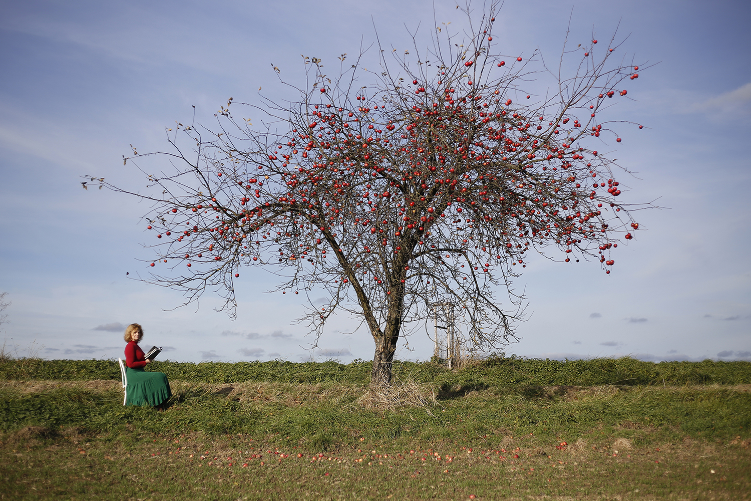 Autorské čtení básní L. Faltejskové - 1