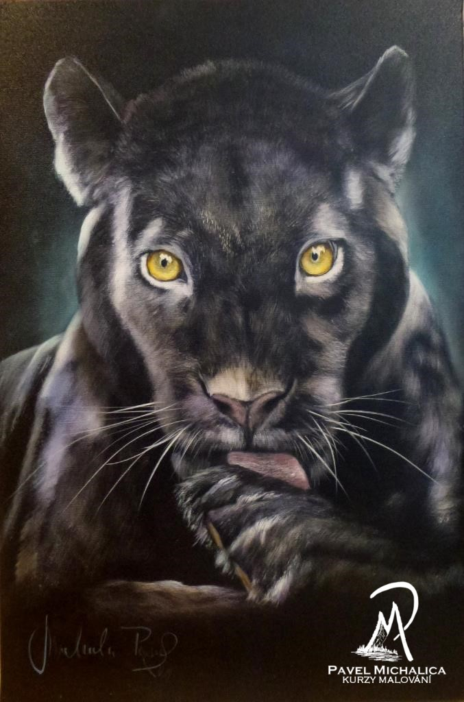 Kurz olejomalby metodou Bob Ross s Pavlem Michalicou - 3