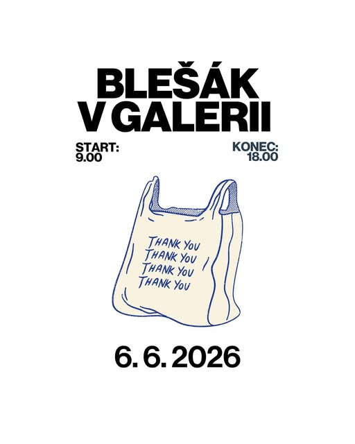 BLEŠÁK V GALERII  - 1