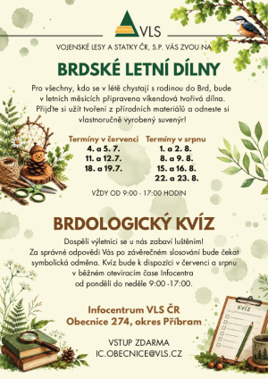 Brdské letní dílny 2026