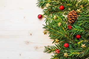 Christmas - tree - 1867135 - 1280