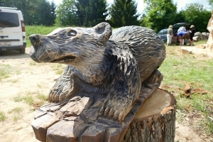 Dřevo3