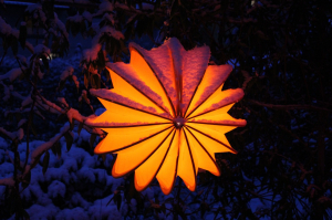 Lampion - 84878 - 1280