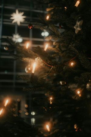 Luise - and - nic - JjamNj - RKq8 - unsplash