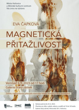 Magneticka - pritazlivost