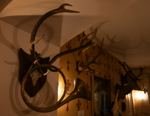 Photo by SOHAM BANERJEE on Unsplash