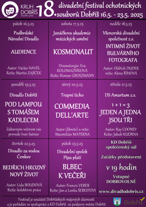 Plakát festival