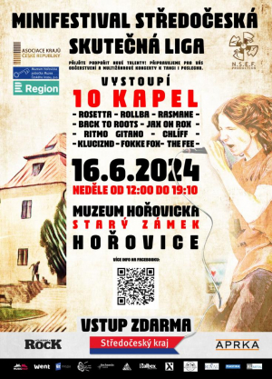 Skutecnaliga - plakat