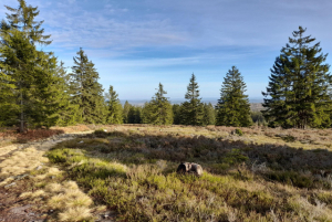 Snímek obrazovky 2024 - 04 - 03 090311