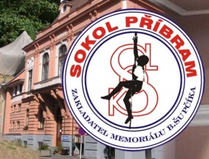 Sokol