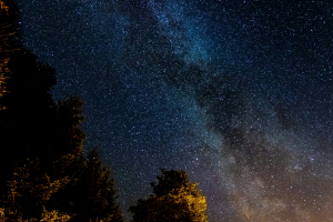 Tomas - vydrzal - 5g6L3lgaEeY - unsplash