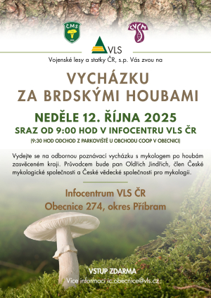 Vycházka houby  -  opraveno