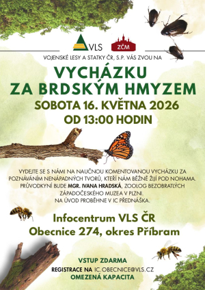 Vycházka za brdským hmyzem