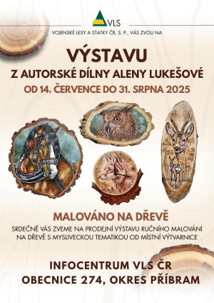 Výstava IC