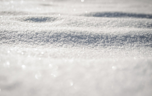 Winter - 260817 - 960 - 720