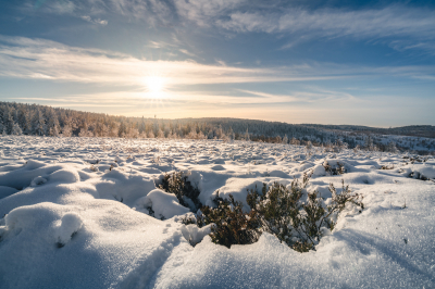 7 tipů na zimní výlet do Brd (foto: Vladimír Holan)