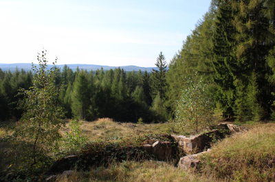 Beran