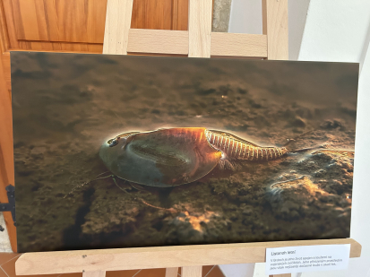 CHKO Brdy slaví 10 let - co se chystá?