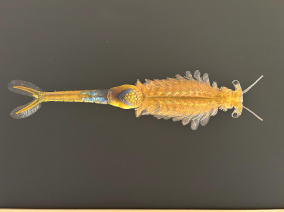 CHKO Brdy slaví 10 let - co se chystá?