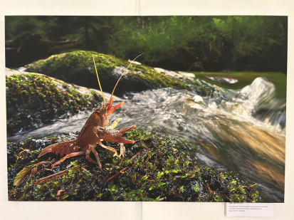 CHKO Brdy slaví 10 let - co se chystá?