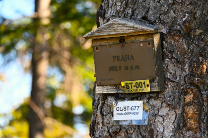 Dřevěný jelen nově zdobí brdský vrchol Praha. Označník citlivě rozvíjí turistickou infrastrukturu v Brdech
