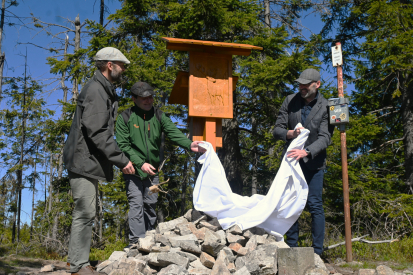 Dřevěný jelen nově zdobí brdský vrchol Praha. Označník citlivě rozvíjí turistickou infrastrukturu v Brdech