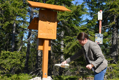 Dřevěný jelen nově zdobí brdský vrchol Praha. Označník citlivě rozvíjí turistickou infrastrukturu v Brdech