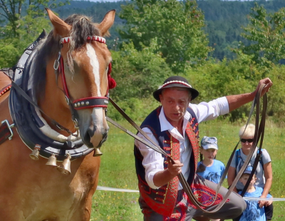 Lesní bitva tažných koní se odehraje v Brdech