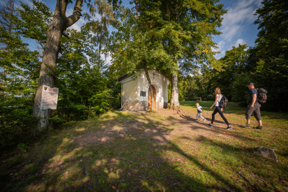 Naplánujte si jarní výlet - Kam vyrazit do Brd z Prahy, Plzně nebo Příbrami?