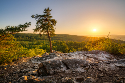 Naplánujte si jarní výlet - Kam vyrazit do Brd z Prahy, Plzně nebo Příbrami?