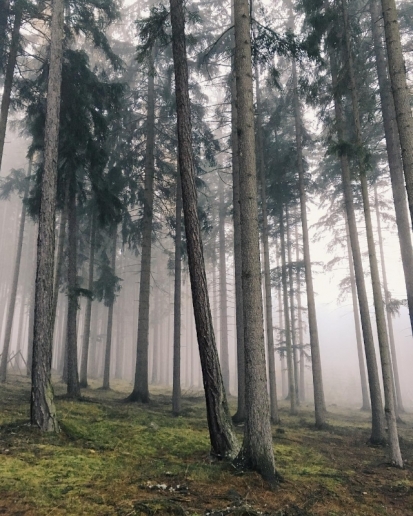 Nechodím tam, kde už jsem jednou byl, říká brdský instagramer Tomáš Kráčalík