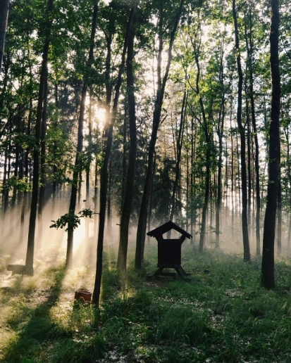 Nechodím tam, kde už jsem jednou byl, říká brdský instagramer Tomáš Kráčalík