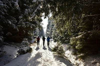 Kam si v Brdech zajít na běžky