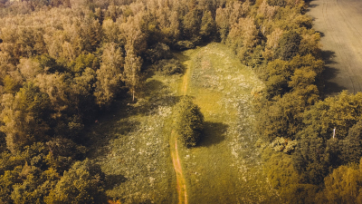 Milínské a vrančické lesy