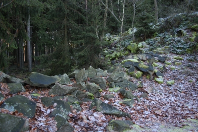 Plešivec - hradiště. Foto: Jaroslav Hodrment