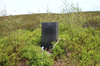 Pomník havárie bitevního letounu L-159 Alca, Brdy - obětí této havárie se dne 24. února 2003 stal mjr. Petr Vašíček. Incident se stal nedaleko tohoto pomníčku, na východním úbočí vrcholu Houpák (794 m). (Foto Mgr. Jaroslav Hodrment ©)