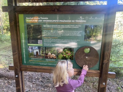 Tajuplnými lesy Arcibiskupství pražského