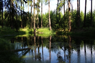 turisticke-trasy-Poutě za poustevníky Za neznámým poustevníkem nad Pilskou (foto: Jaroslav Hodrment)