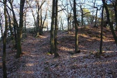 turisticke-trasy-Za jineckými trilobity (foto: Jaroslav Hodrment)