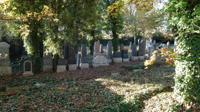 Židovský hřbitov, Dobříš - pochází z počátku 17. století a dochovalo se zde přibližně 250 náhrobků (nejstarší je z roku 1650). Areál hřbitova je uzavřený.  (Foto Mgr. Jaroslav Hodrment ©)