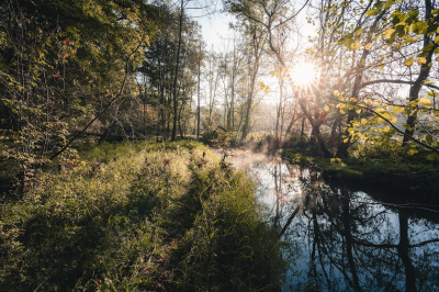 Zlato na Novoknínsku a v okolí Kozích Hor