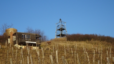 Zvonička, Otmíče - jednoduchá dřevěná konstrukce rozhledny nad místní vinicí. (Foto Mgr. Jaroslav Hodrment ©)